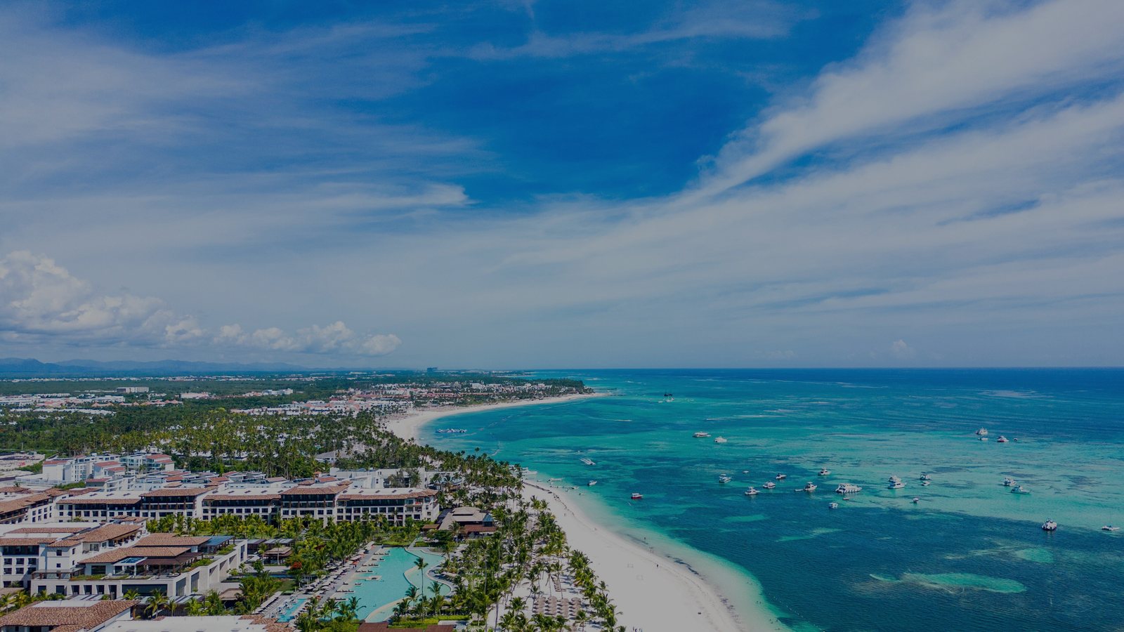 Palm-lined white sand beach, Punta Cana